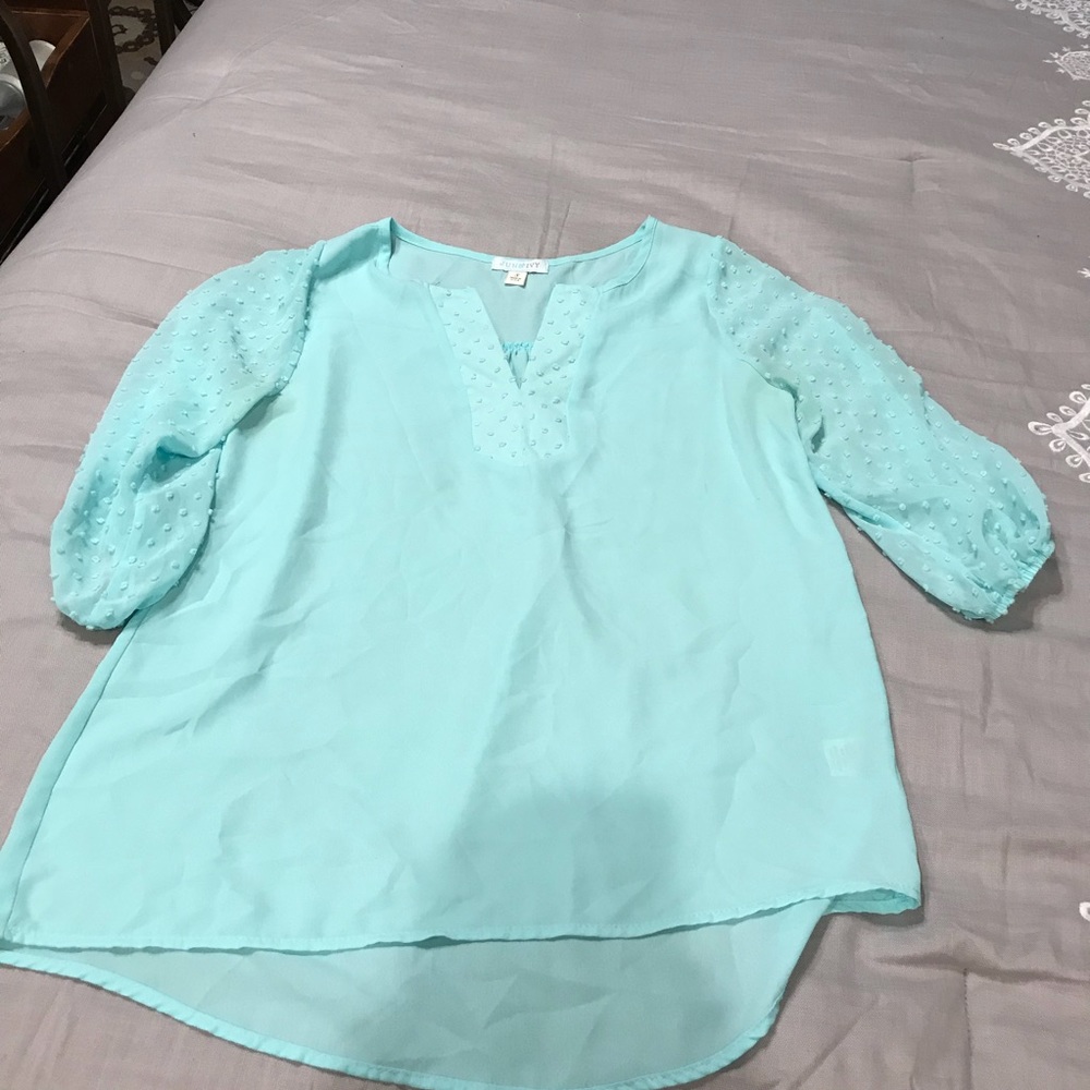 Ladies sheer mint minky dot sleeve blouse